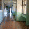 n736534