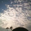 skywish123