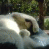 tk01062005